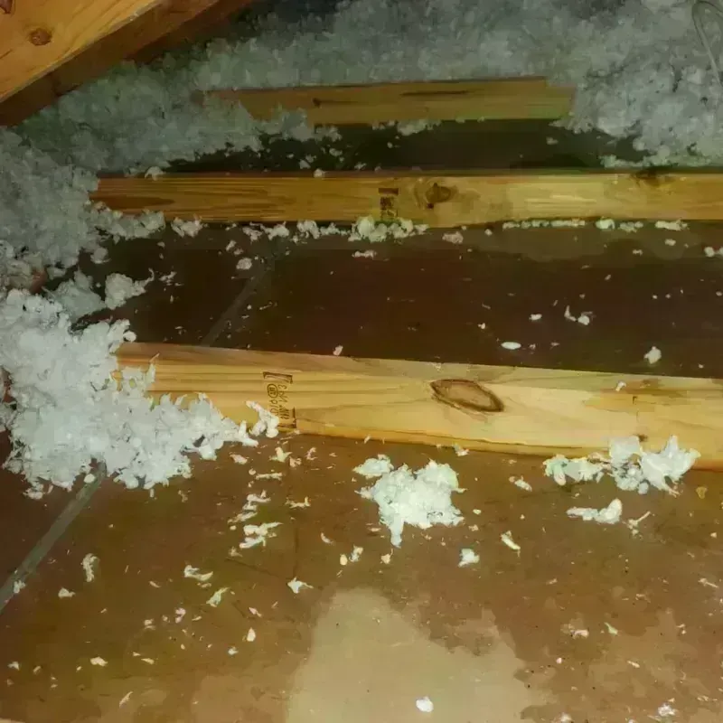 Attic Water Damage in Dauphin County, PA